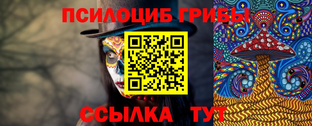 Рубцовск  Псилоцибиновые грибы MAGIC MUSHROOMS  Вход с VPN  Псилоцибиновые грибы MAGIC MUSHROOMS 
