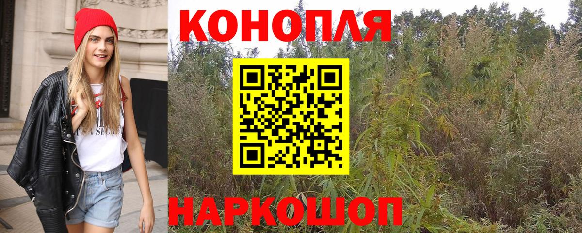 Канабис Ganja  Конопля планчик  Конопля White Widow  Вход с VPN  Рубцовск 